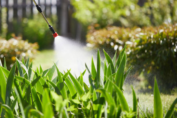 24/7 Emergency Mosquito Control experts in Middletown, KY